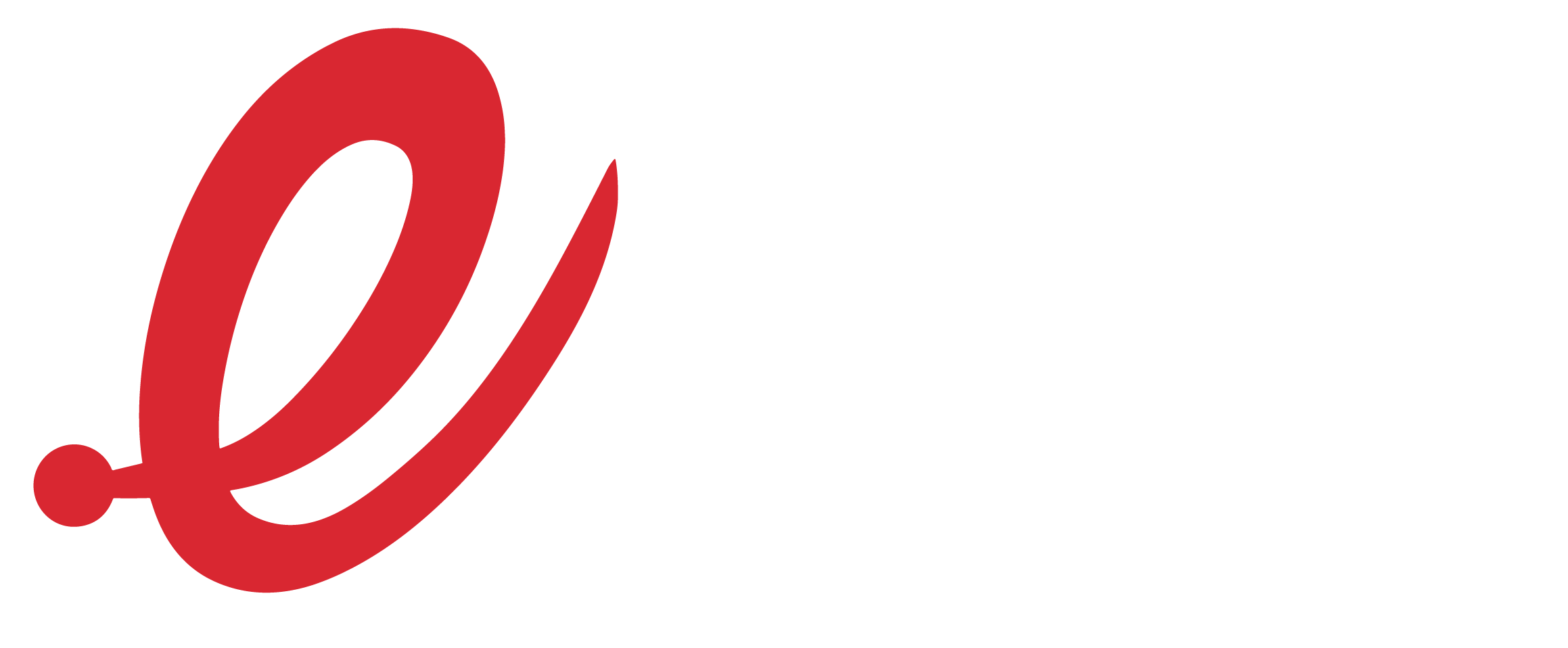 Efecto Digital